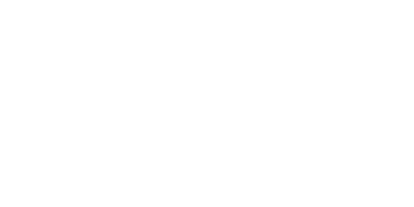 VIP 게이밍 logo